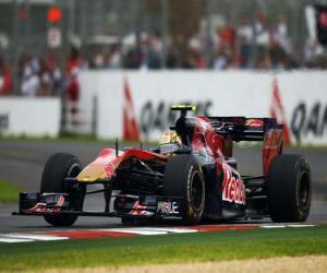 yapboz Jaime Alguersuari - Toro Rosso - Melbourne 2.010
